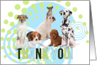 from All of Us Thank You Cute Dogs in Trendy Green and Blue card