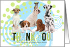Donor Thank You with Custom Text and a Cute Pack of Dogs card