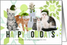 Happy Holiday Cats From the Litter Custom Business card