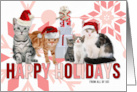 from the Group Holiday Cats in Pink and Red card