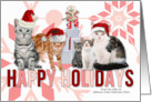 Custom Business Happy Holidays Festive Cats in Pink and Red card