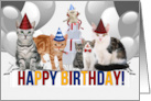 Birthday for Cat Lover from the Group in Blue Red and Yellow card