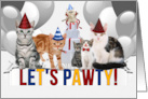 Funny Cats Birthday Party Invitation in Red Blue and Yellow card