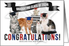 Graduating Cats Class of 2024 Custom Graduation Congratulations card