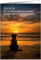Loss of a Dog Pet Sympathy Beach Theme Silhouette card