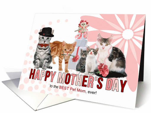 From the Cats on Mother's Day Cats in Pink and Red card (1029407)