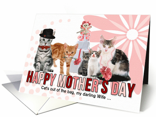 for Wife on Mother's Day Cat Lover Pink and Red card (1030297)