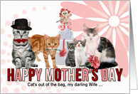 for Wife on Mother’s Day Cat Lover Pink and Red card