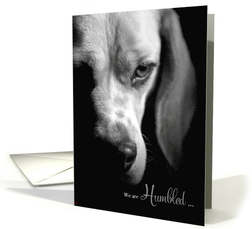 Pet Sympathy Loss of a Dog Beagle Black and White card (1037801)