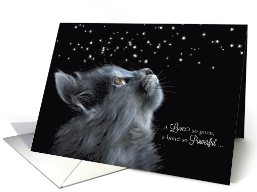 Pet Sympathy Loss of a Cat Gray Cat Photograph card (1037877)