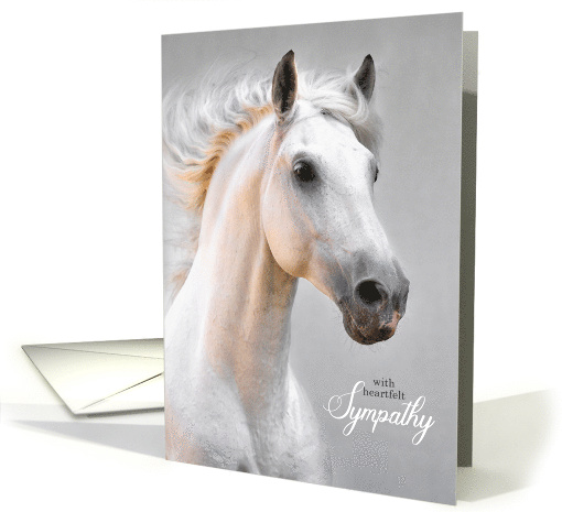 Pet Sympathy Loss of a Horse White Horse on Gray card (1037969)