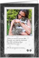 Cat Lover’s Memorial Photo Invitation in Charcoal Gray card