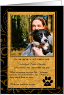 Celebration of Life Service Animal Lover Paw Print with Photo card