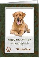 from the Dog on Father’s Day Green and Brown with Pet’s Photo card