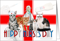 Nurses Day From the Group Cats card