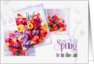 Easter Tulips Spring is in the Air Lavender and Bright Bouquets card