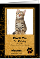 Veterinarian Thank You in Black and Gold with Cat’s Photo Blank card