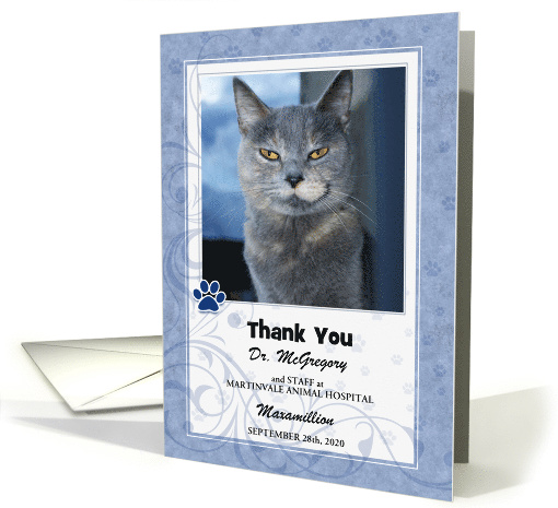 Veterinarian Thank You Soft Blue with Pet's Photo Blank card (1048215)