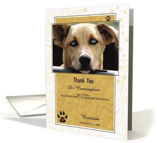 Veterinarian Thank You in Golden Yellow and White Pet's... (1048487)