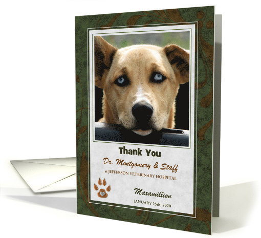 Veterinarian Thank You Green Gray and Brown with Pet's... (1048499)
