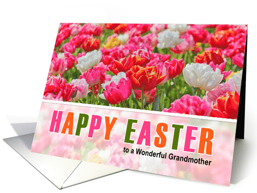 for Grandmother on Easter Pink Tulip Garden card (1048721)