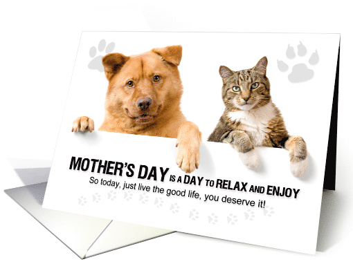 from the Pets on Mother's Day Fun Kitten and Puppy card (1049945)