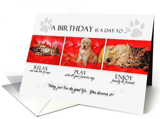 Birthday Fun Kitten and Puppy in Red and White for Pet Lover card