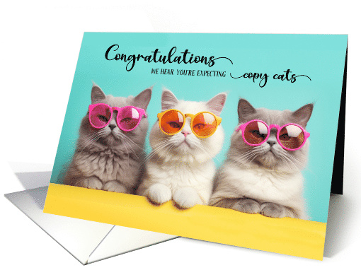 Congratulations Expecting Triplets Three Cats B/W Photograph card