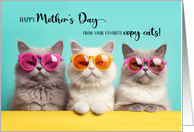 from the Pet Funny Mother’s Day Three Tabby Cats card