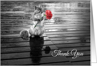 Thank You Squirrel with Carnation Black and White card