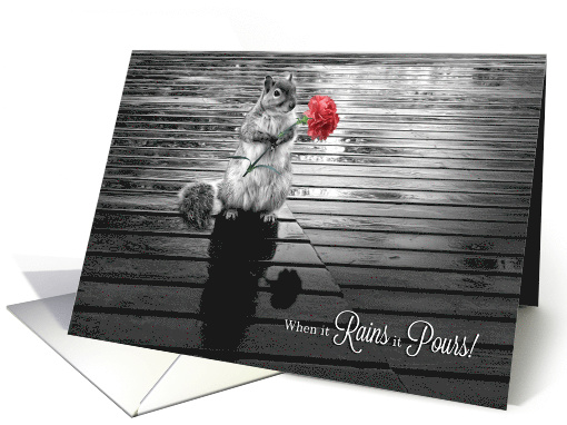 Congratulations Squirrel with Carnation Black and White card (1068211)