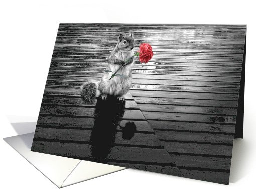 Squirrel with Carnation Black and White Blank Any Occasion card