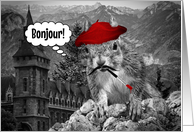 Bonjour Funny French...