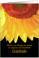 Sympathy Thank You for the Condolences Sunflower card