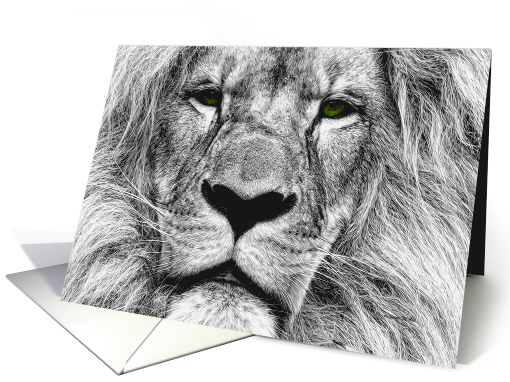 African Lion Black and White Digital Drawing Blank Any Occasion card