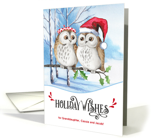 Granddaughter and Husband Holiday Wishes Woodland Owls Custom card