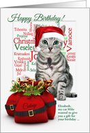 Birthday on Christmas Day Tabby Cat and Mouse card