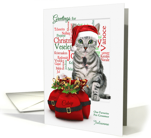 for Pet Groomer Custom Christmas Tabby Cat and Mouse card (1127454)