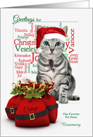 for the Pet Sitter Custom Christmas Tabby Cat and Mouse card