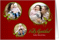 Christmas Feliz Navidad Elegant Red and Green 3 Photo Custom card