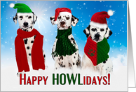 Christmas Dalmatian Dogs Merry & Bright card