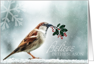 Christmas Sparrow Holly and Snow Wild Song Bird card