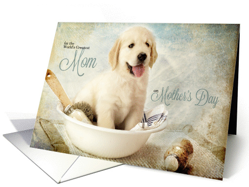 for Mom on Mother's Day Golden Retriever Puppy card (1175158)