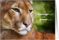 Encouragement Mountain Lion Courage and Power card