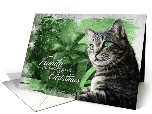 Christmas Silver Tabby Cat with Green Background card (1178384)
