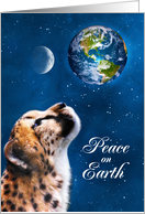 Peace on Earth Wild Cheetah Christmas card