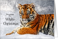 Christmas Tiger Cub in the Snow Wildlife Theme card