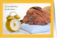 Funny Birthday Dogue de Bordeaux Dog Sleeping In card