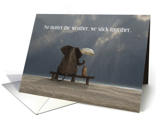 You are My Valentine Cute Romantic Wildlife Companions card (1218052)