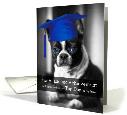Academic Achievement Congratulations Boston Terrier Dog card (1290710)